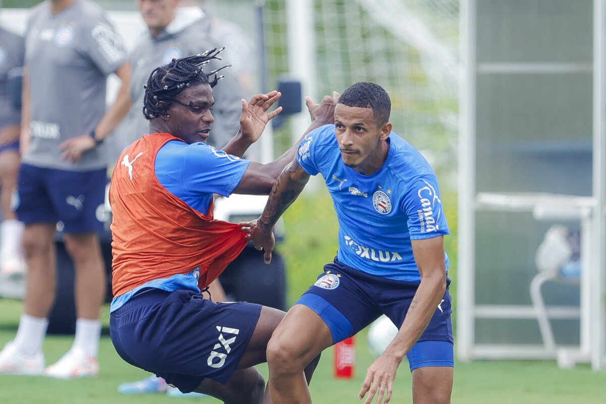 image para ilustrar o artigo