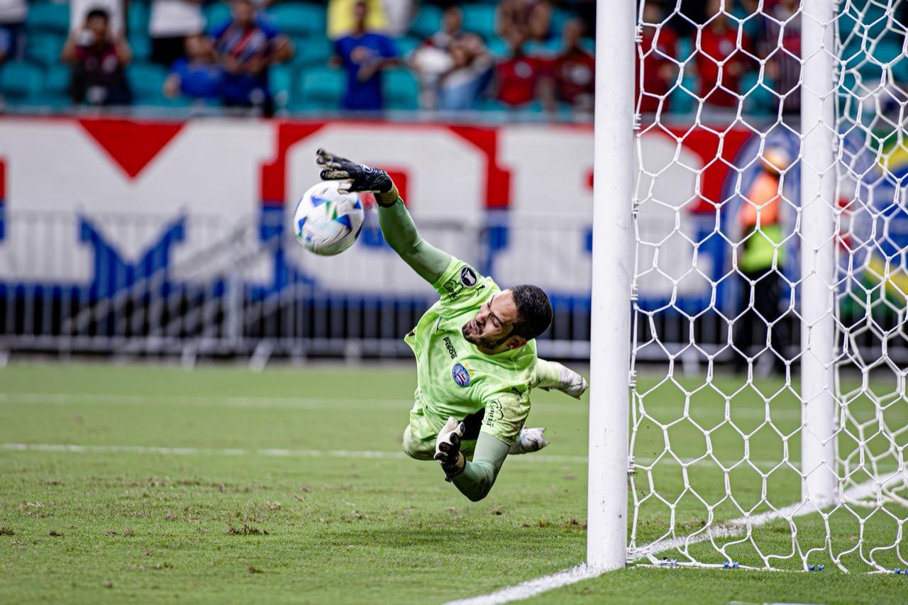 image para ilustrar o artigo