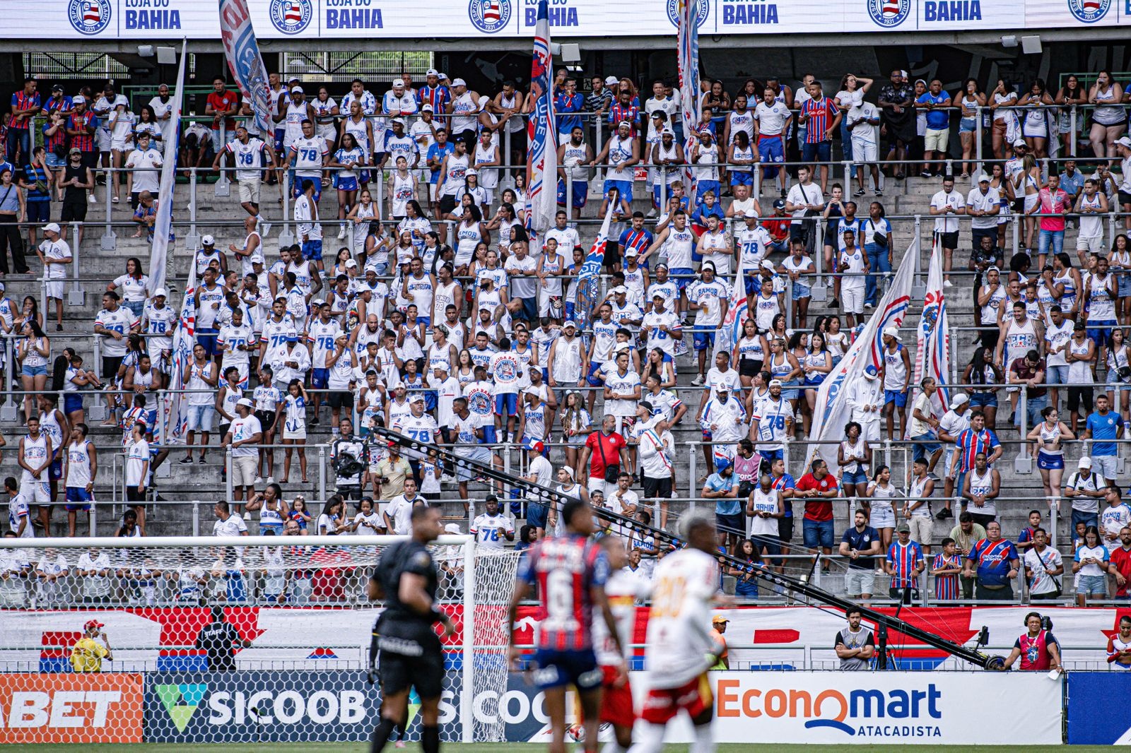 image para ilustrar o artigo