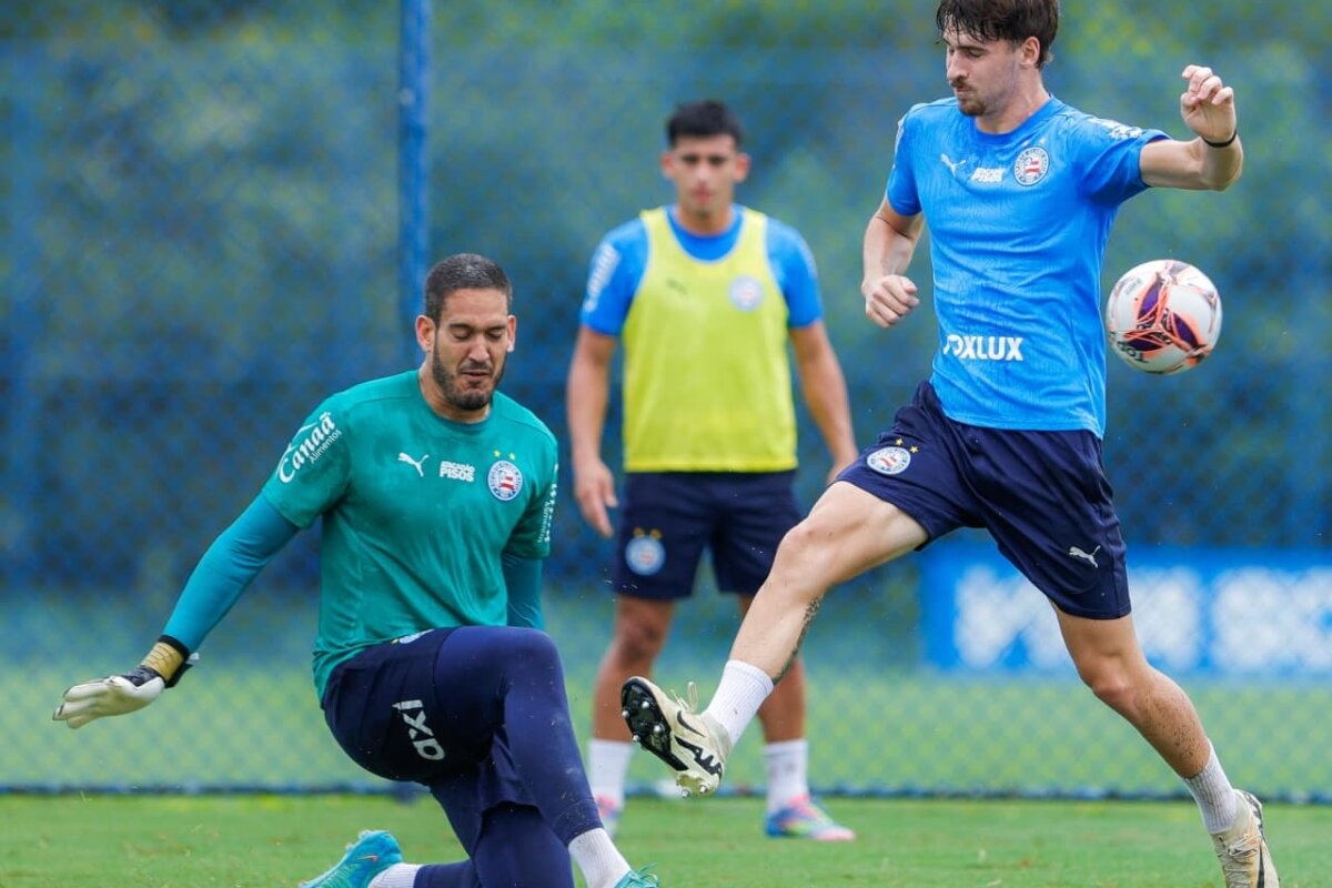 image para ilustrar o artigo