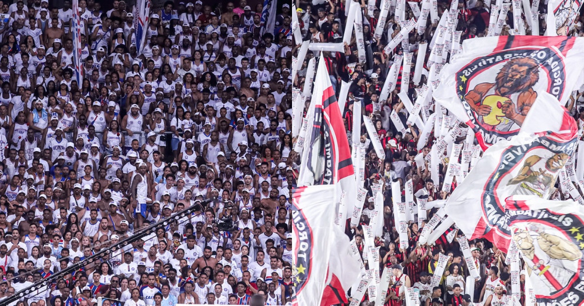 image para ilustrar o artigo