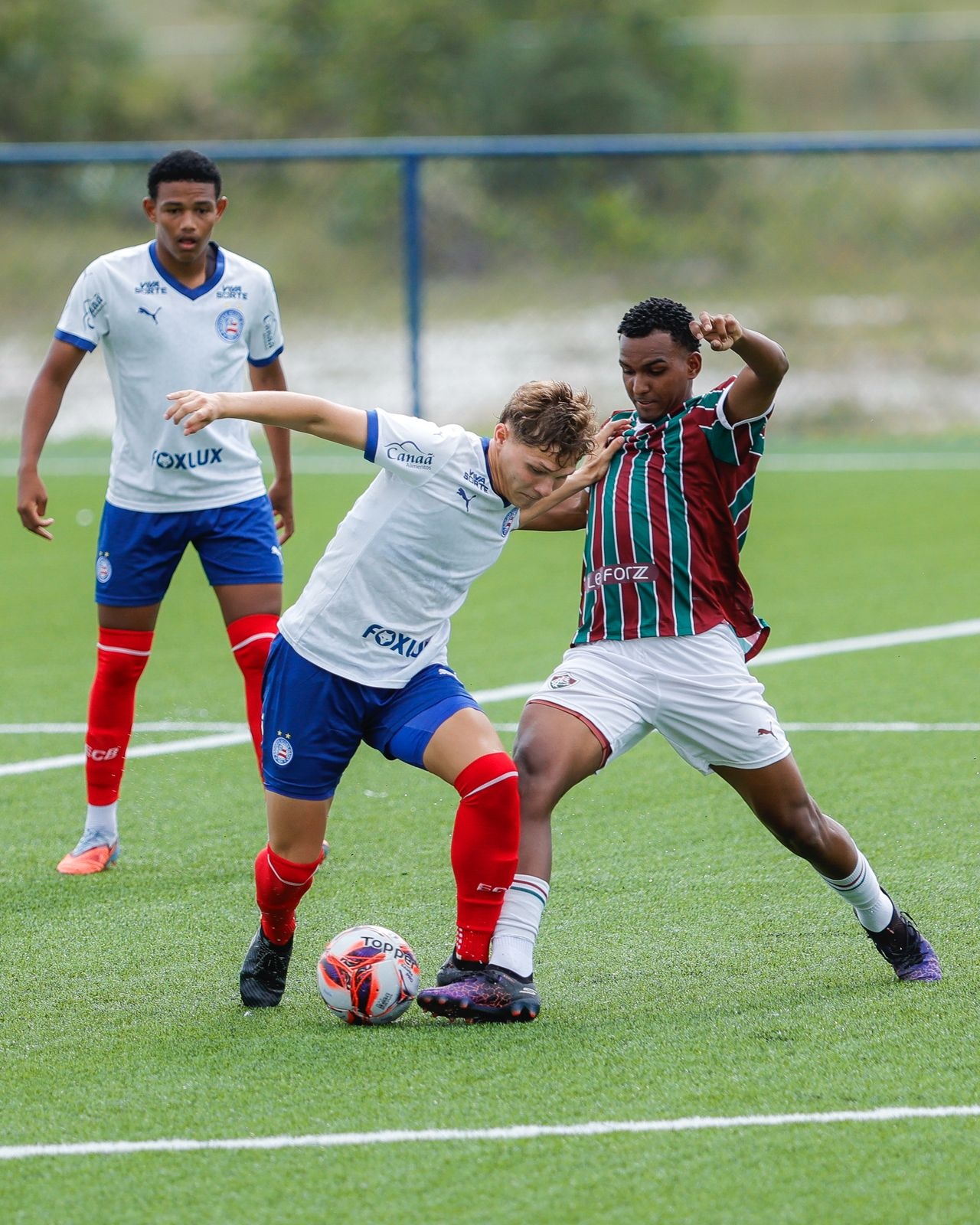 image para ilustrar o artigo