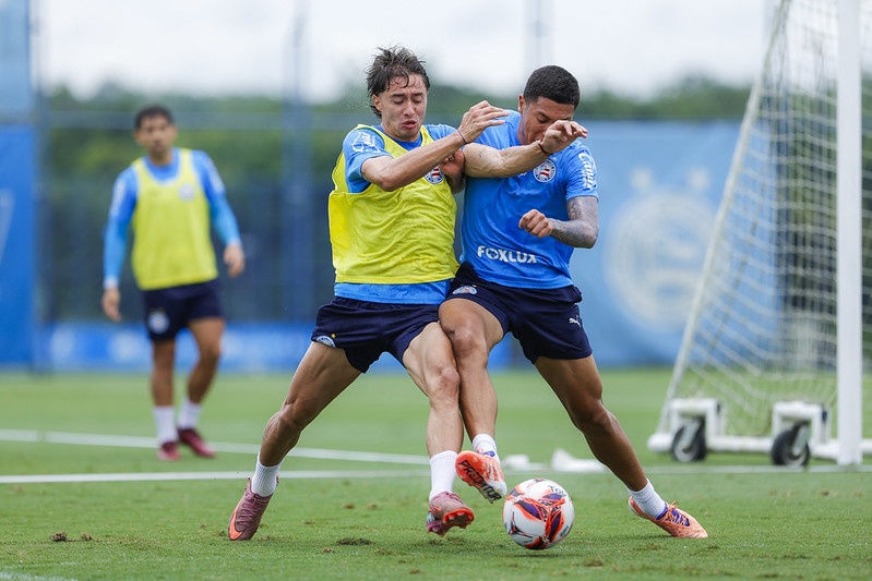 image para ilustrar o artigo