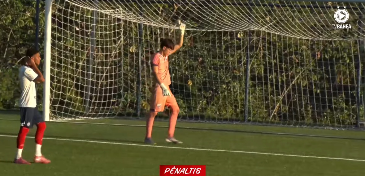 image para ilustrar o artigo