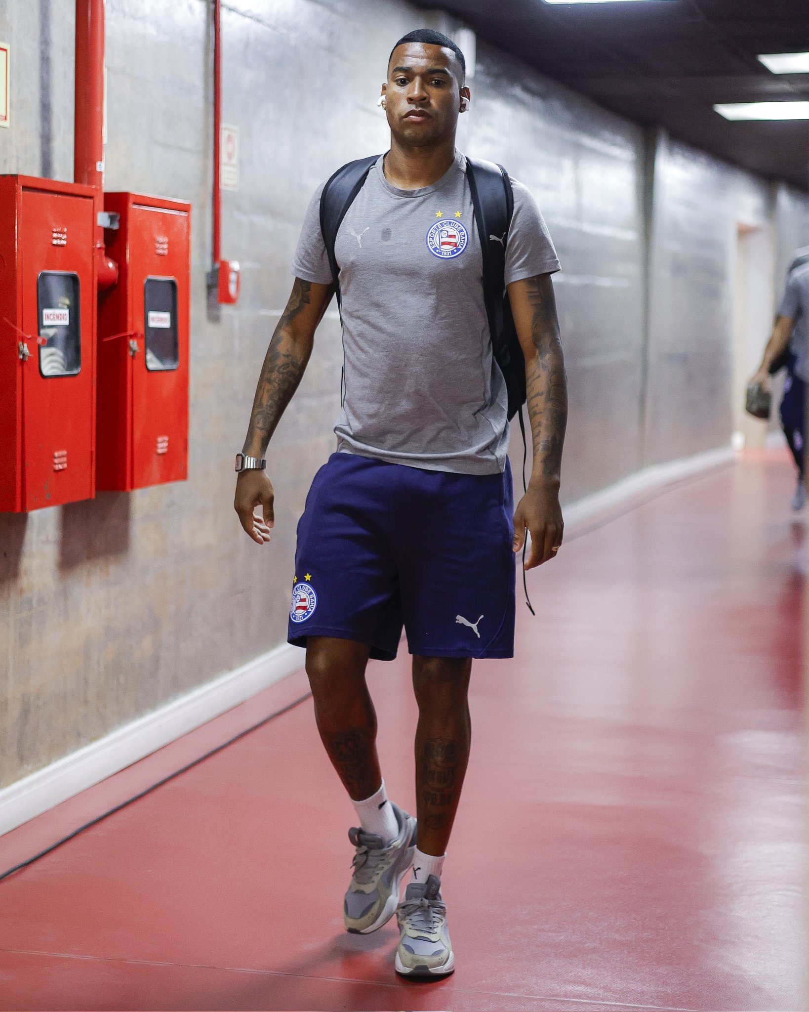 image para ilustrar o artigo