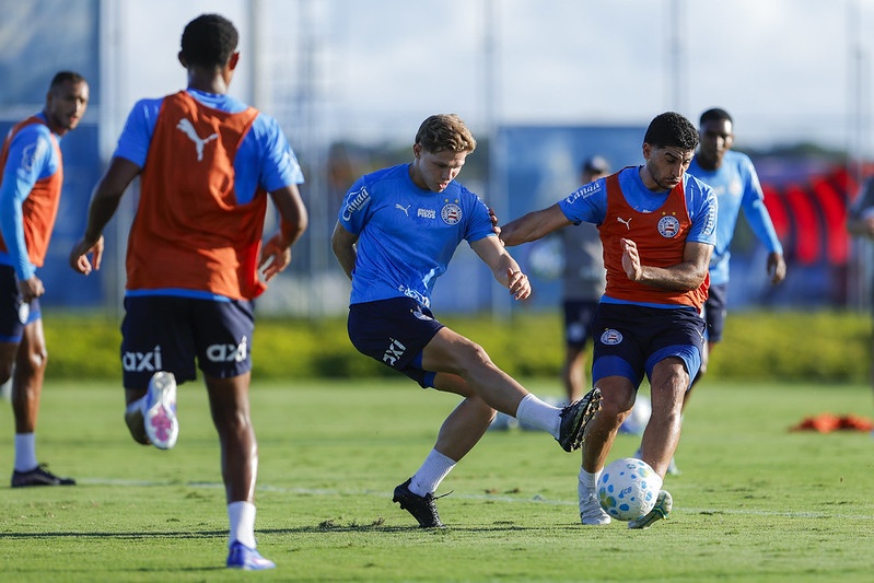 image para ilustrar o artigo