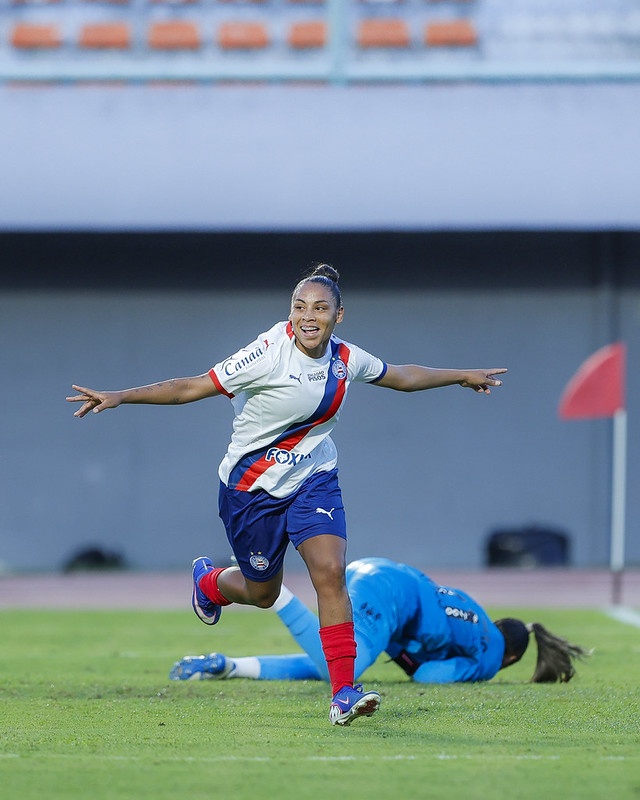 image para ilustrar o artigo