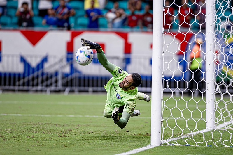 image para ilustrar o artigo