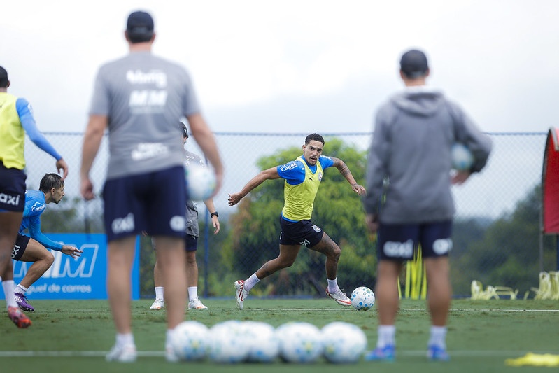 image para ilustrar o artigo