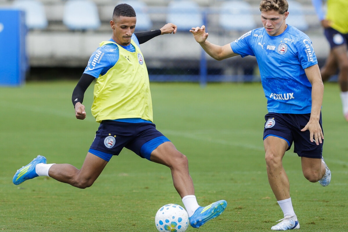 image para ilustrar o artigo