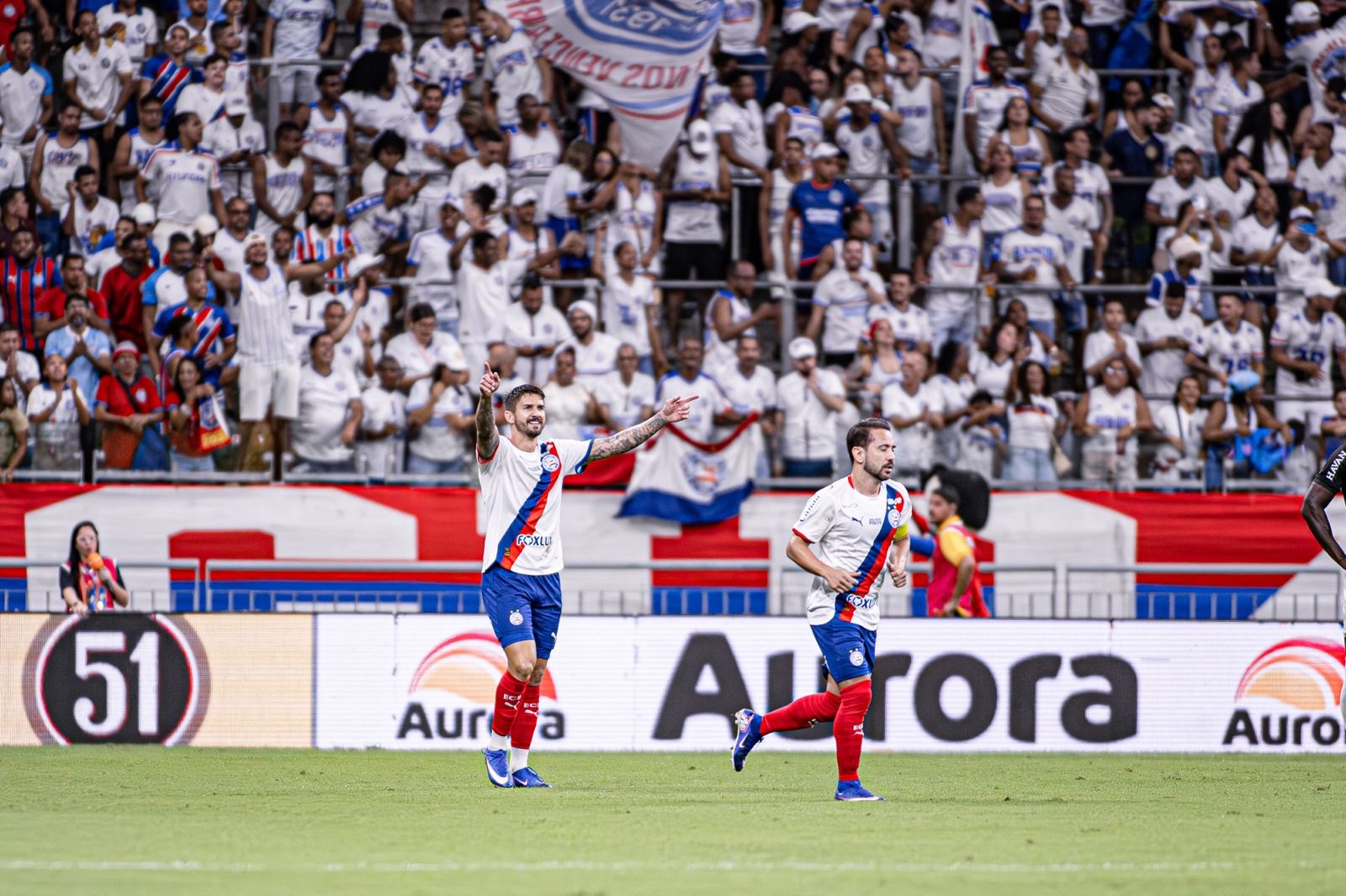 image para ilustrar o artigo