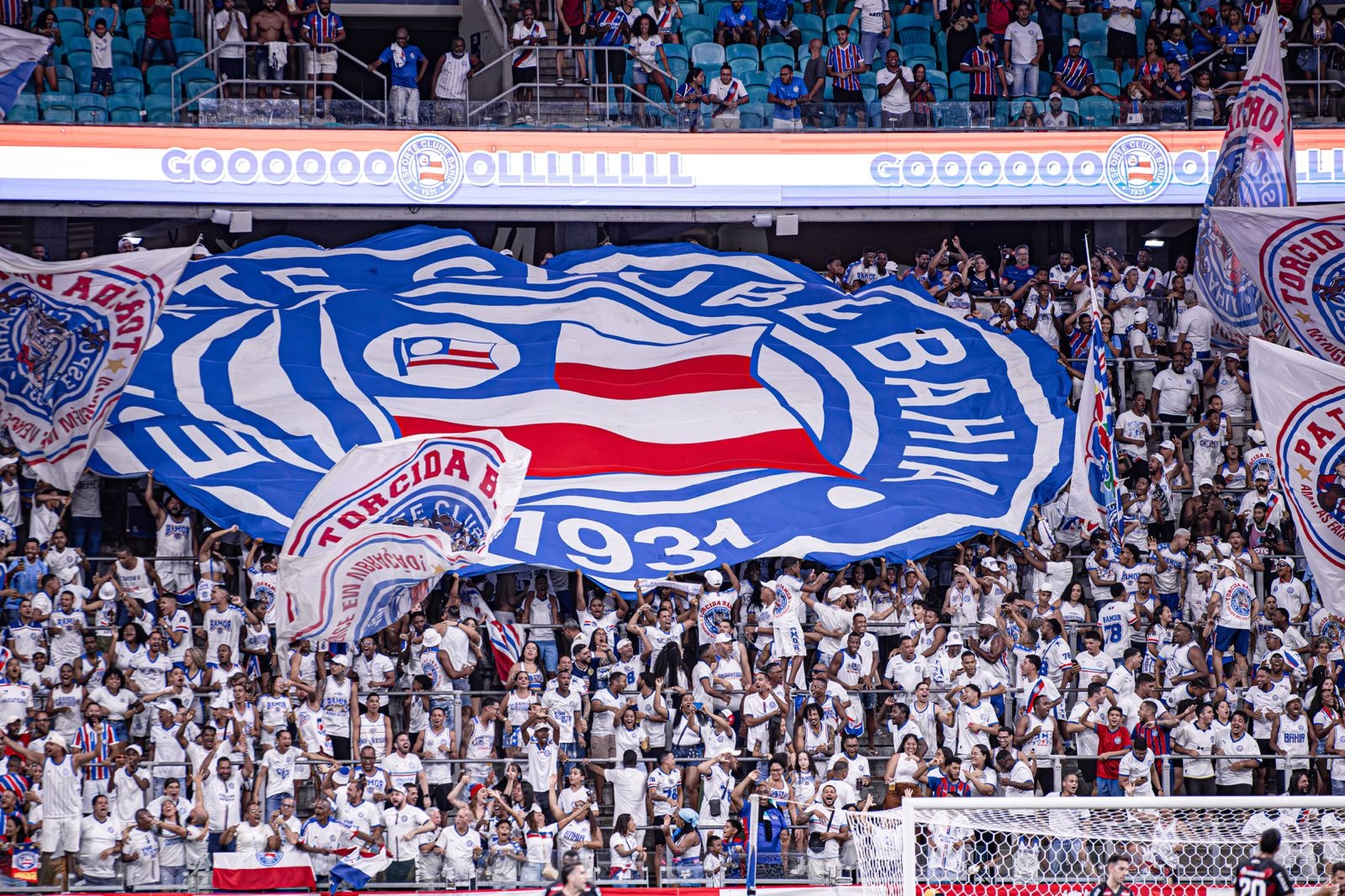 image para ilustrar o artigo