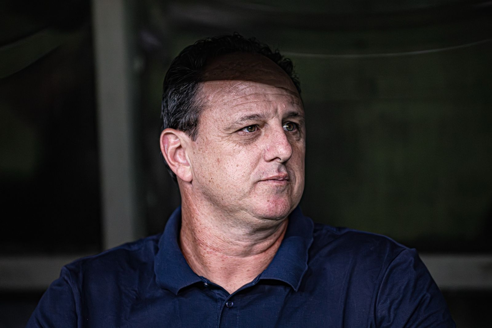 image para ilustrar o artigo