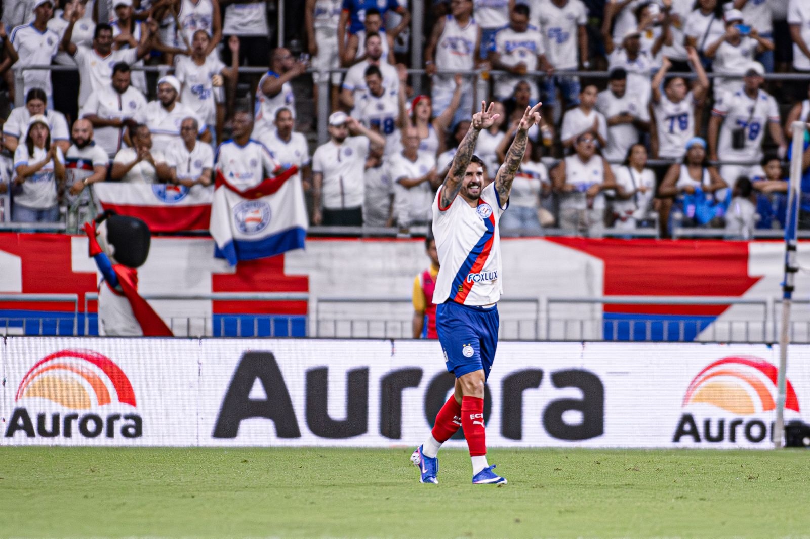 image para ilustrar o artigo