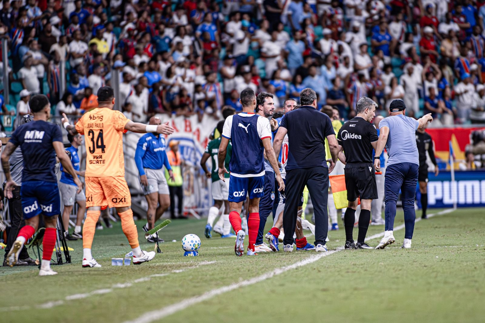 image para ilustrar o artigo