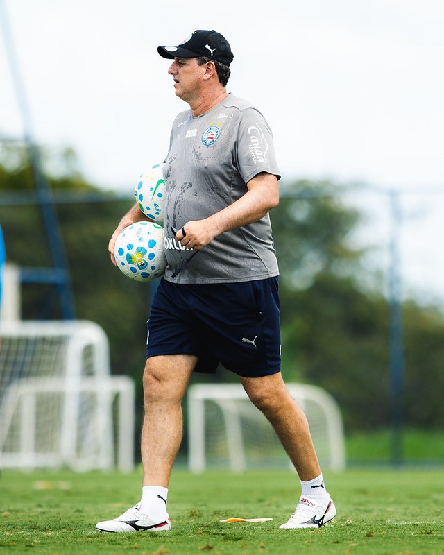 image para ilustrar o artigo