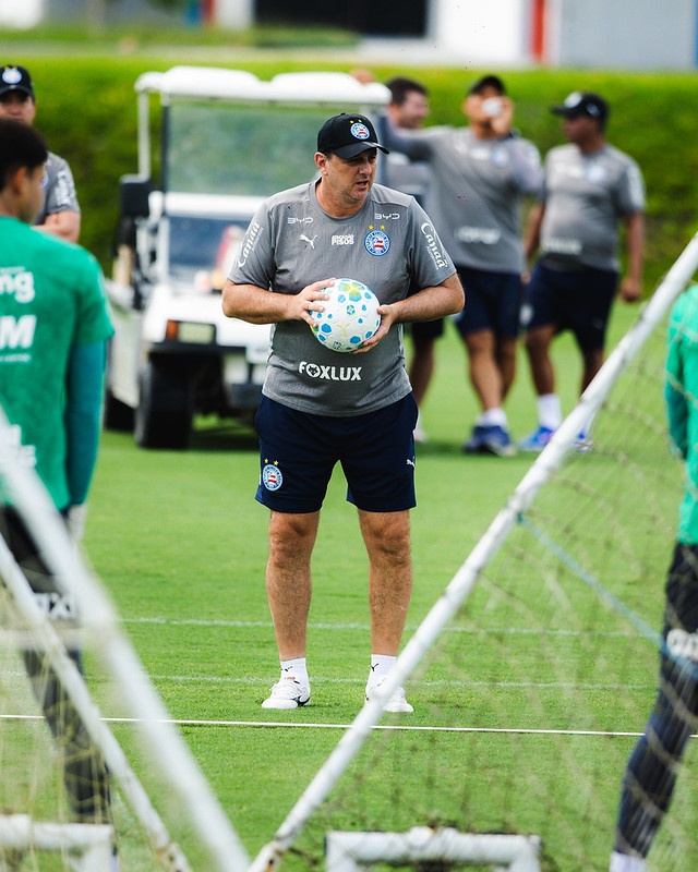 image para ilustrar o artigo