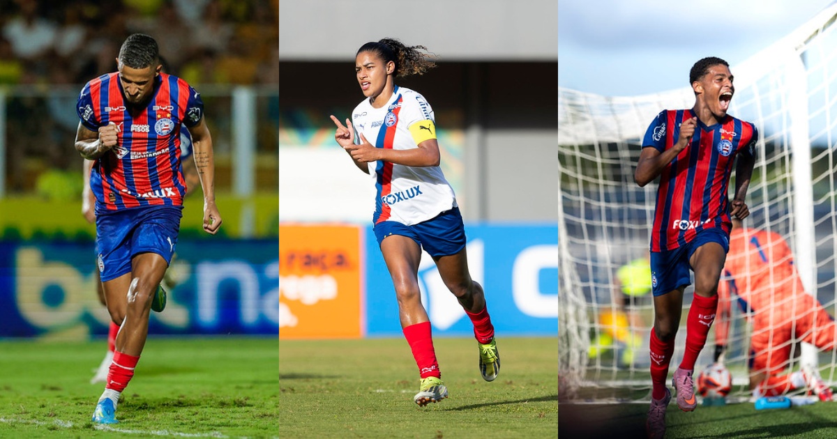 image para ilustrar o artigo