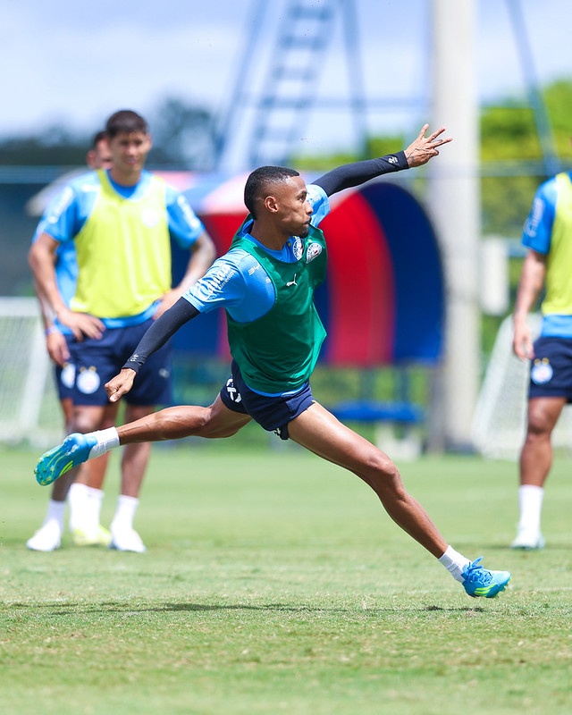 image para ilustrar o artigo