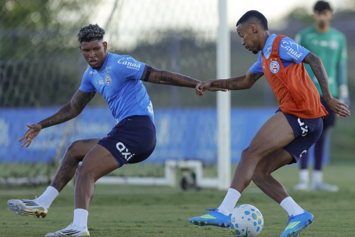 image para ilustrar o artigo