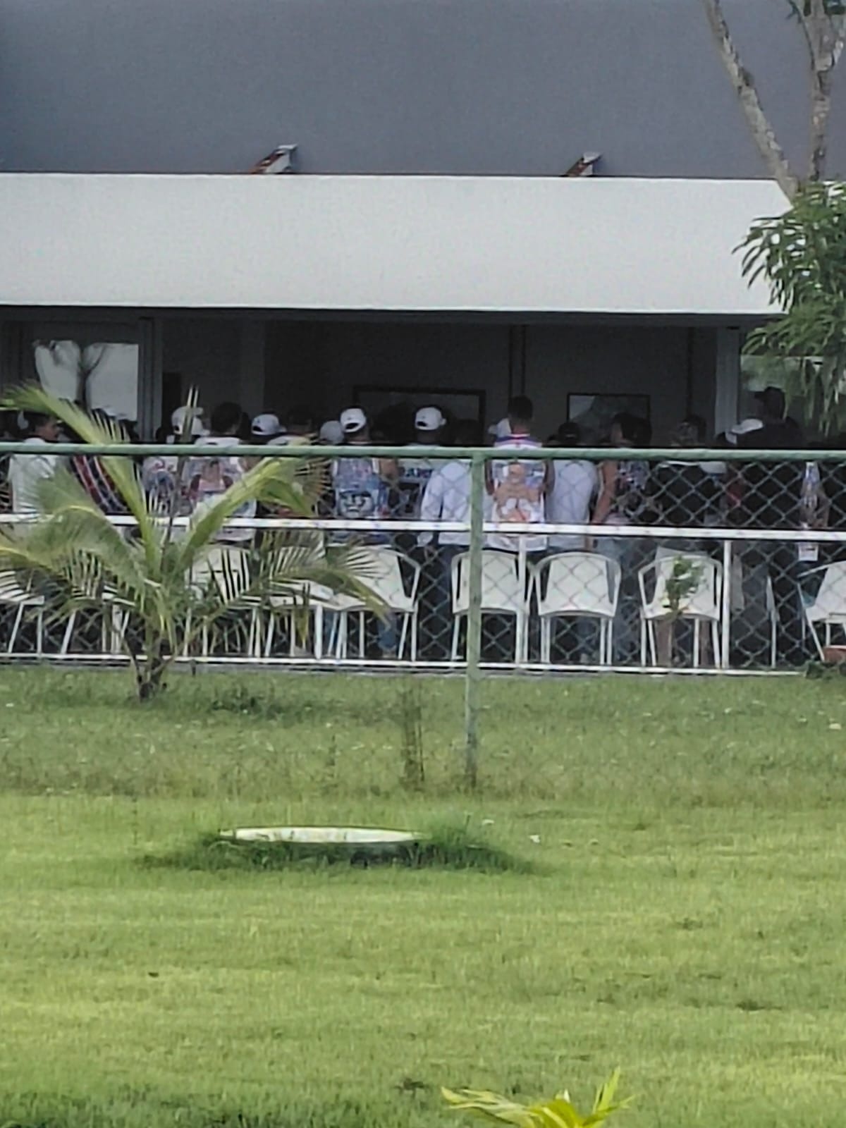 image para ilustrar o artigo