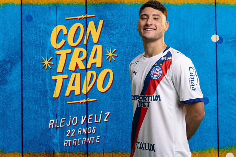 image para ilustrar o artigo