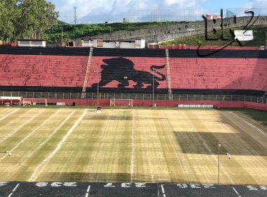 Gramado do Barradão passa por manutenção para a temporada 2019