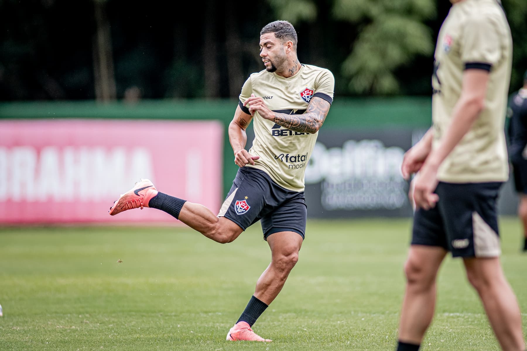 image para ilustrar o artigo