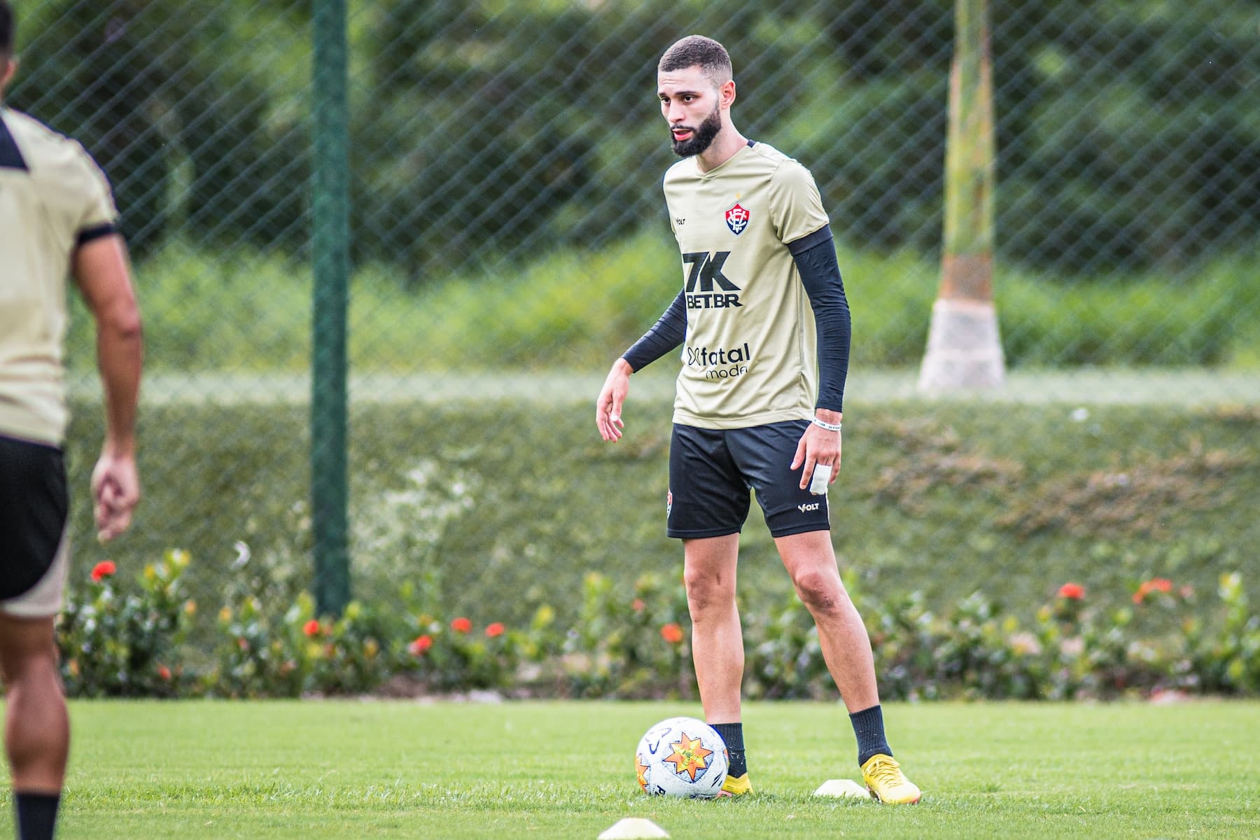 image para ilustrar o artigo