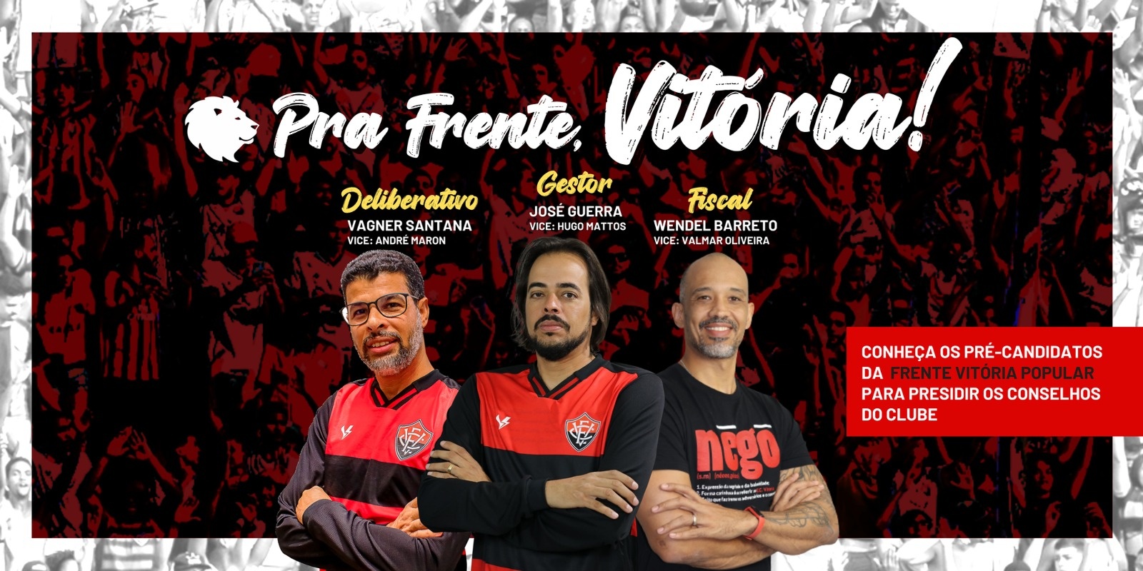 image para ilustrar o artigo