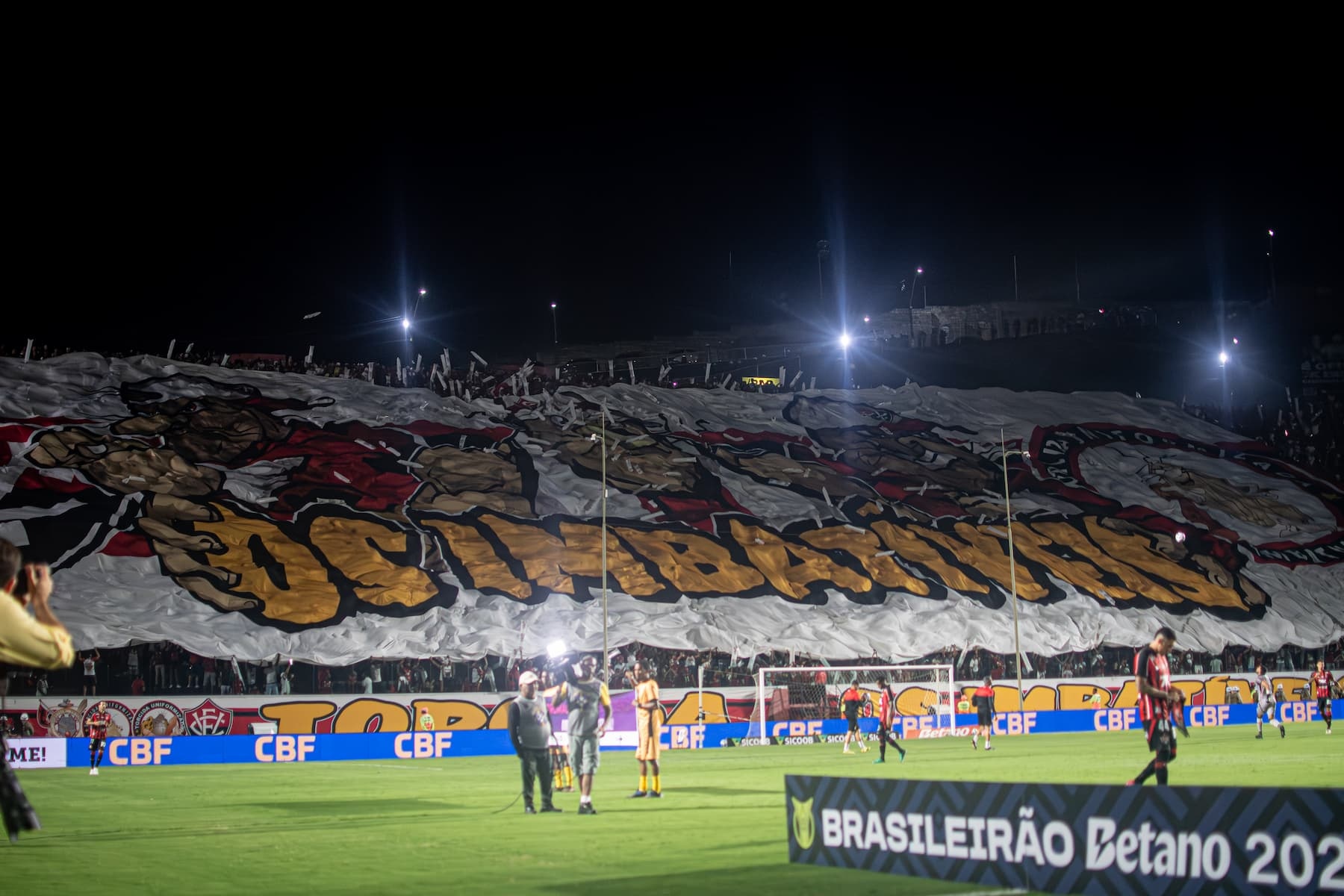 image para ilustrar o artigo