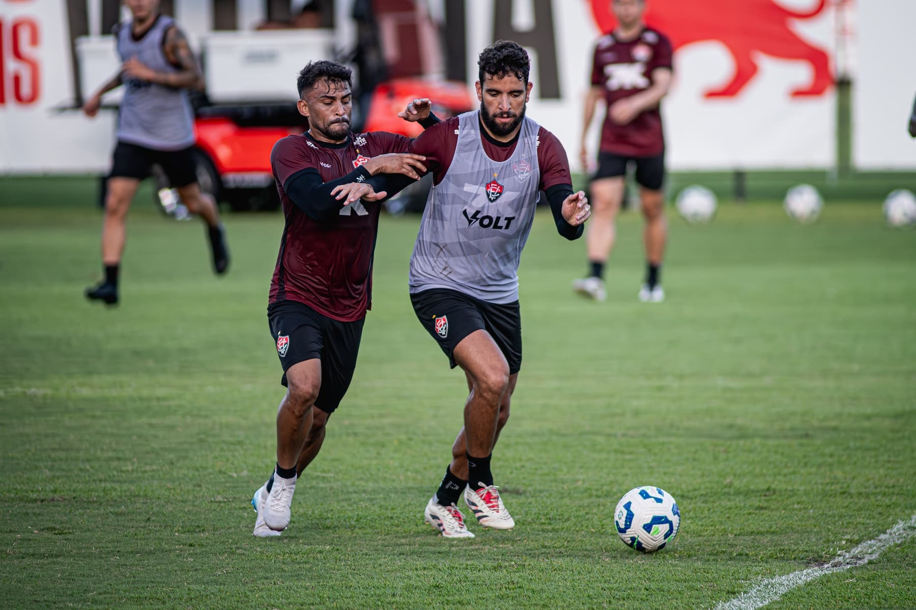 image para ilustrar o artigo