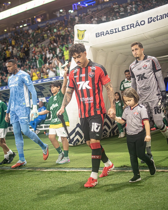 image para ilustrar o artigo