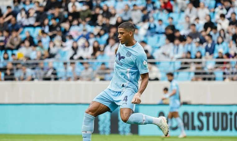 image para ilustrar o artigo