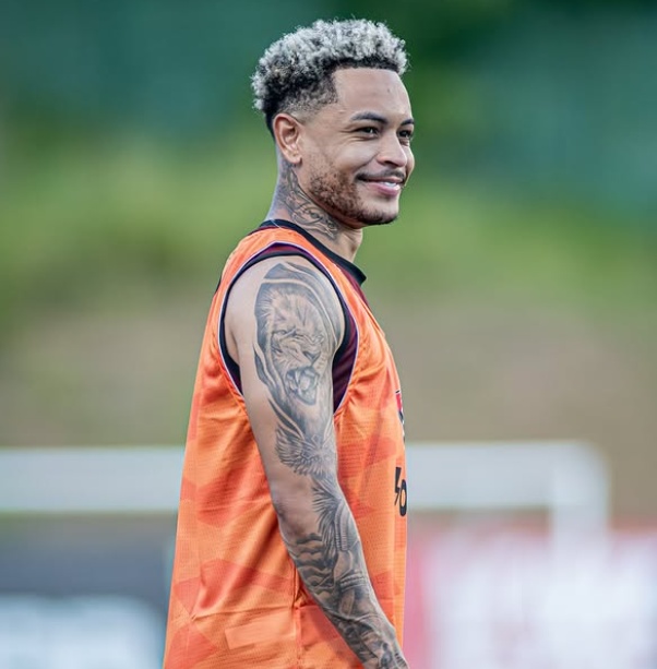 image para ilustrar o artigo