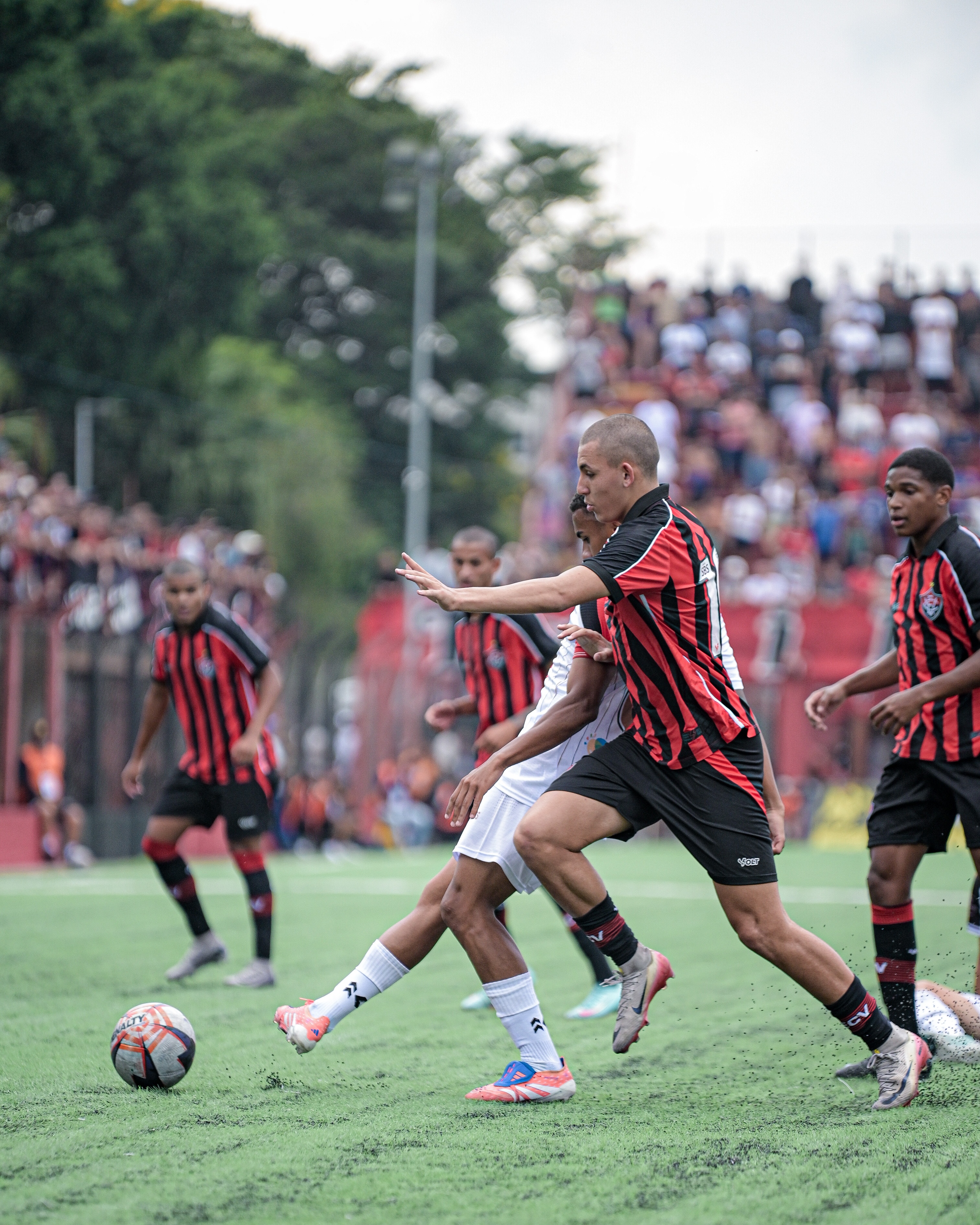 image para ilustrar o artigo