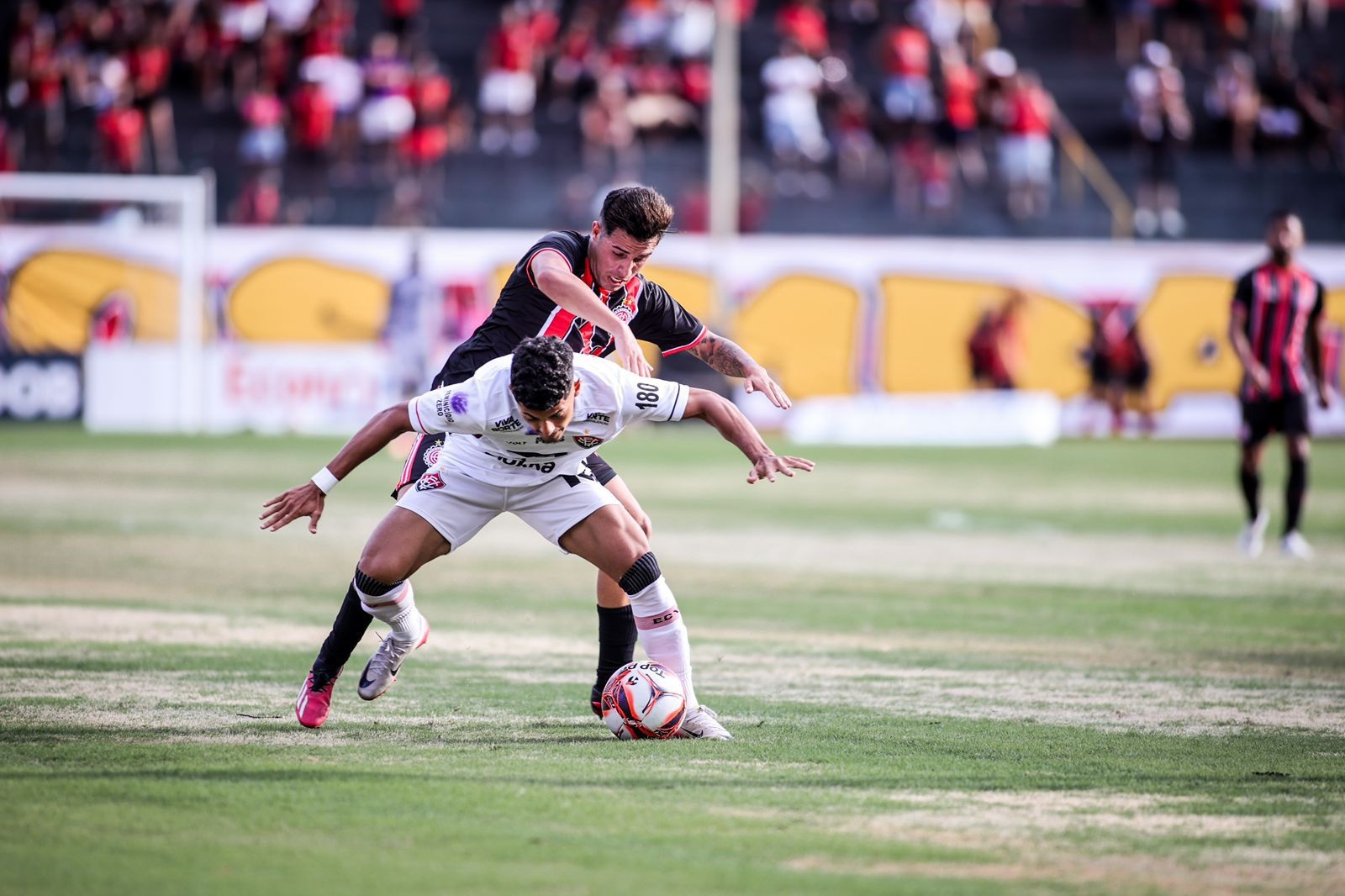 image para ilustrar o artigo