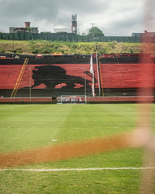 image para ilustrar o artigo