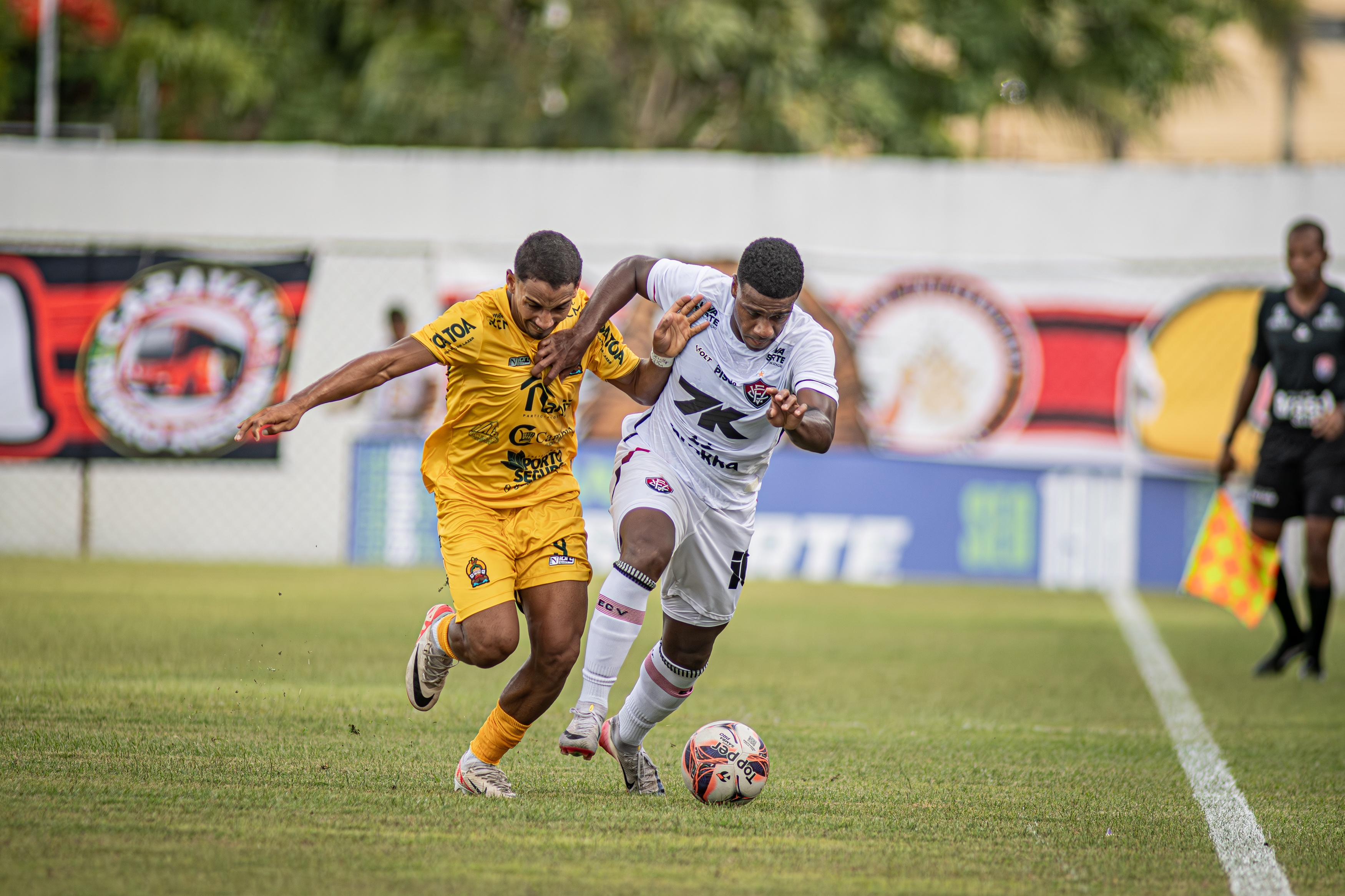 image para ilustrar o artigo