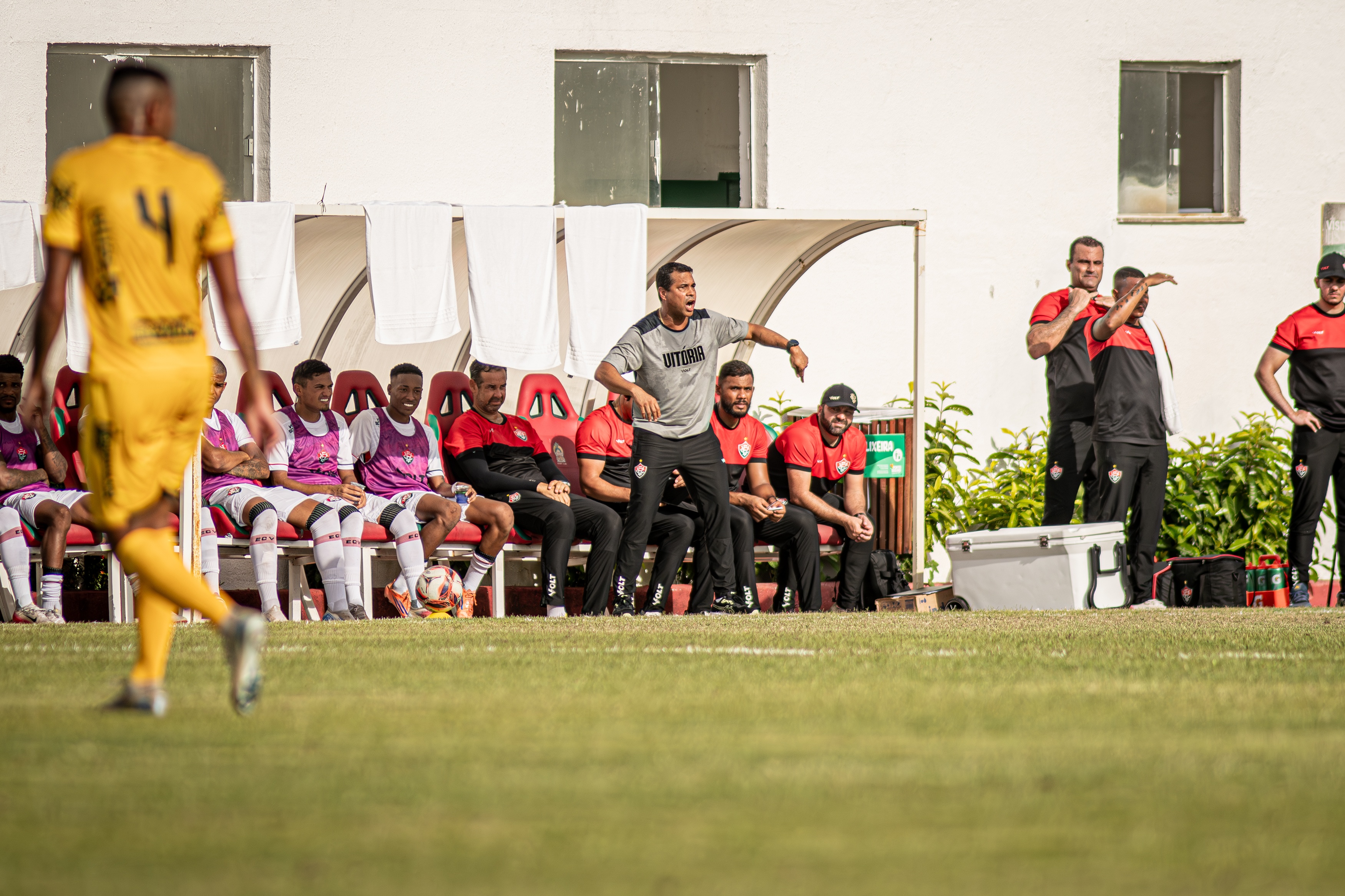 image para ilustrar o artigo