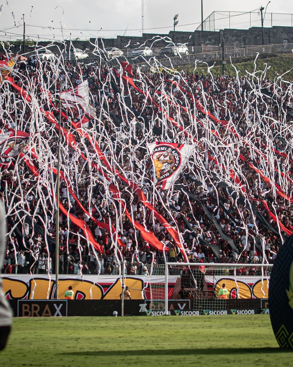 image para ilustrar o artigo