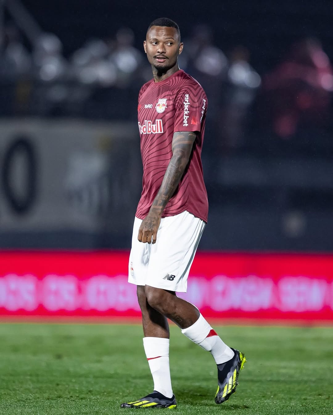 image para ilustrar o artigo