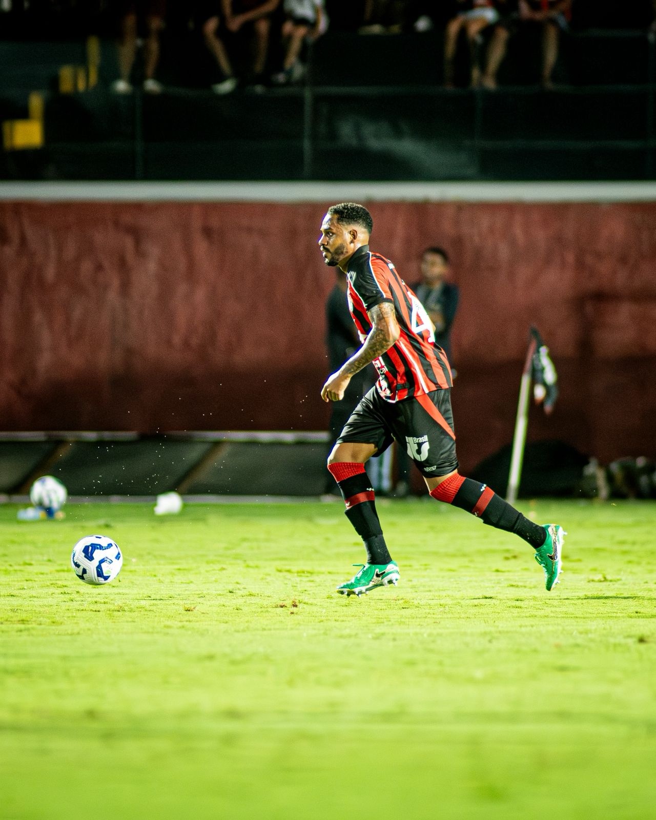 image para ilustrar o artigo