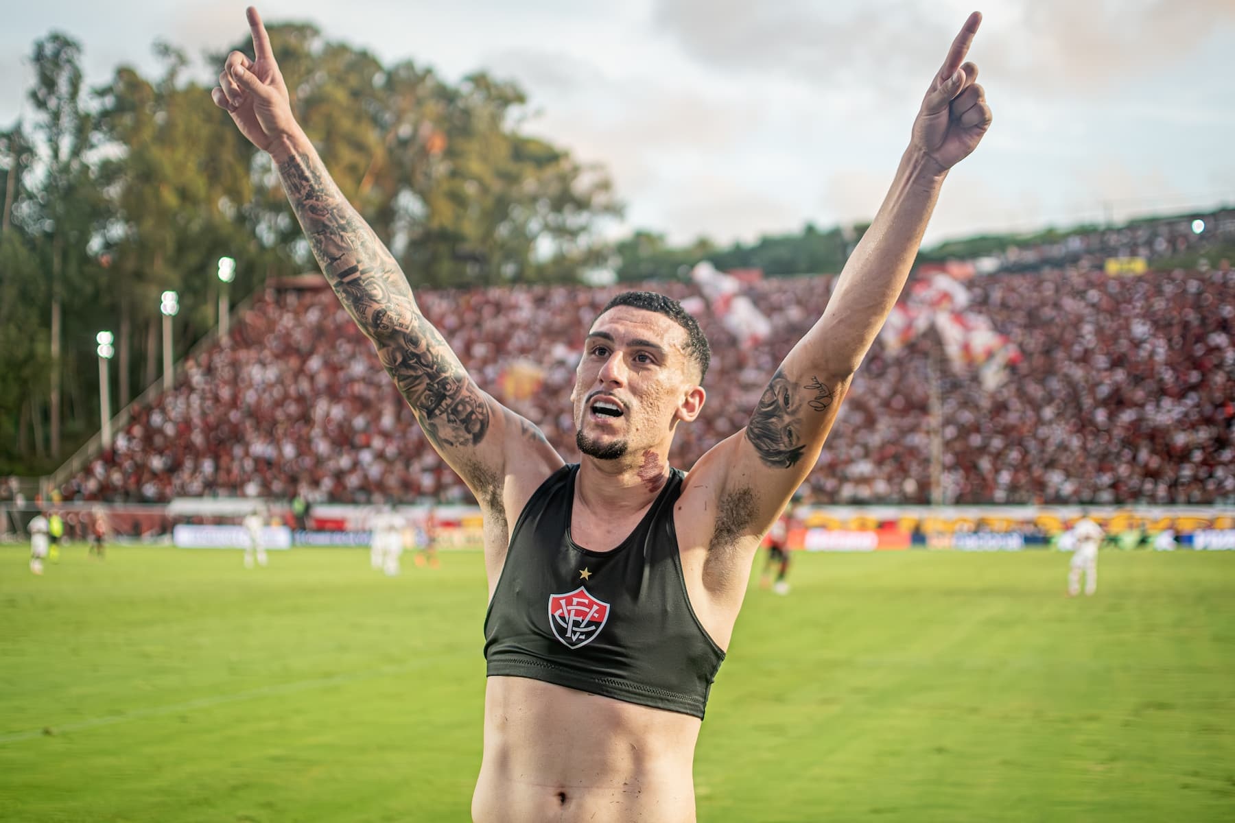 image para ilustrar o artigo