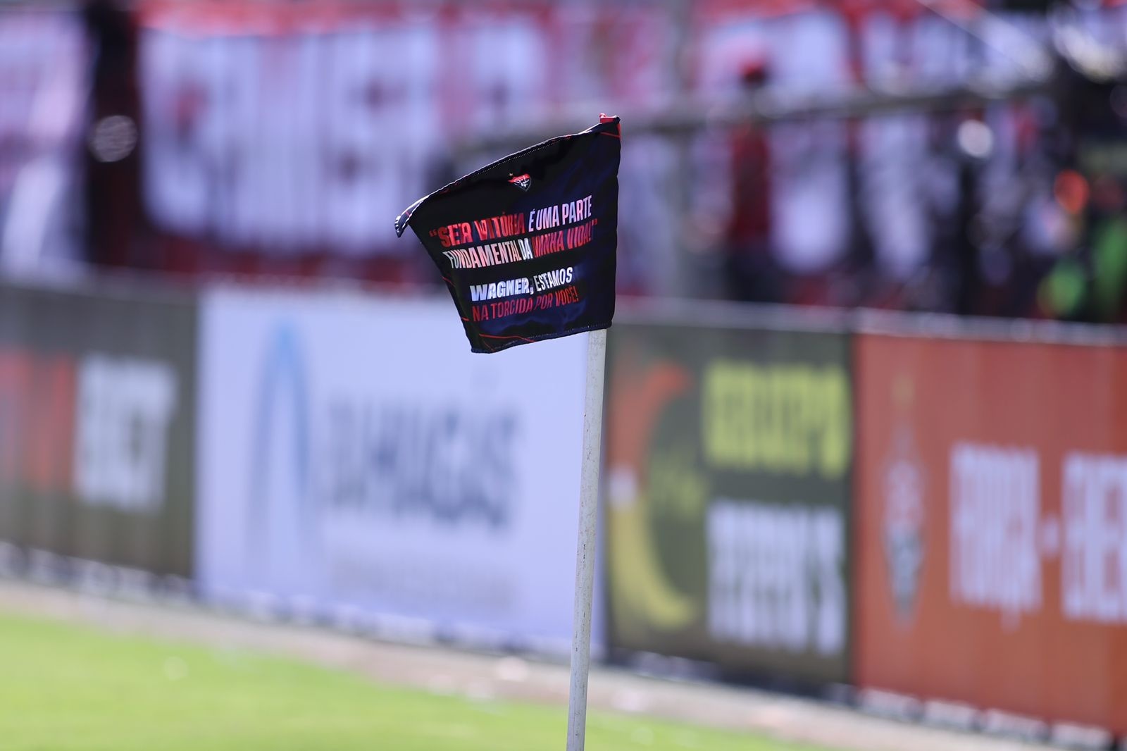 image para ilustrar o artigo