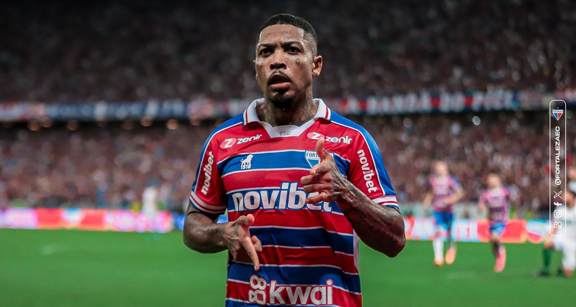 image para ilustrar o artigo