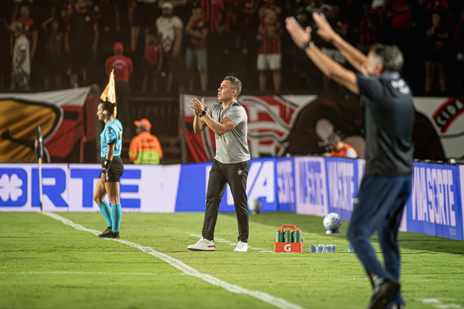 image para ilustrar o artigo