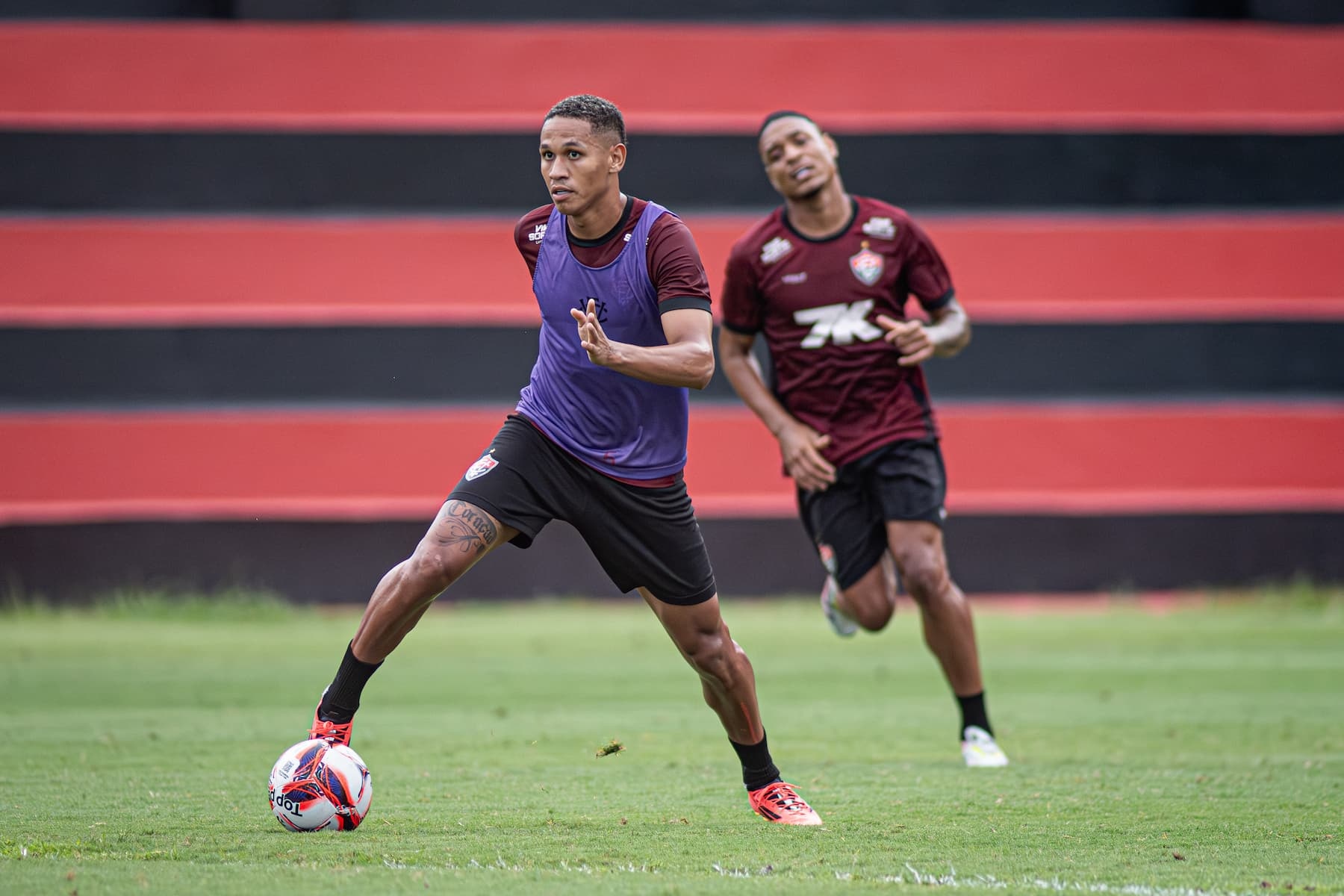 image para ilustrar o artigo