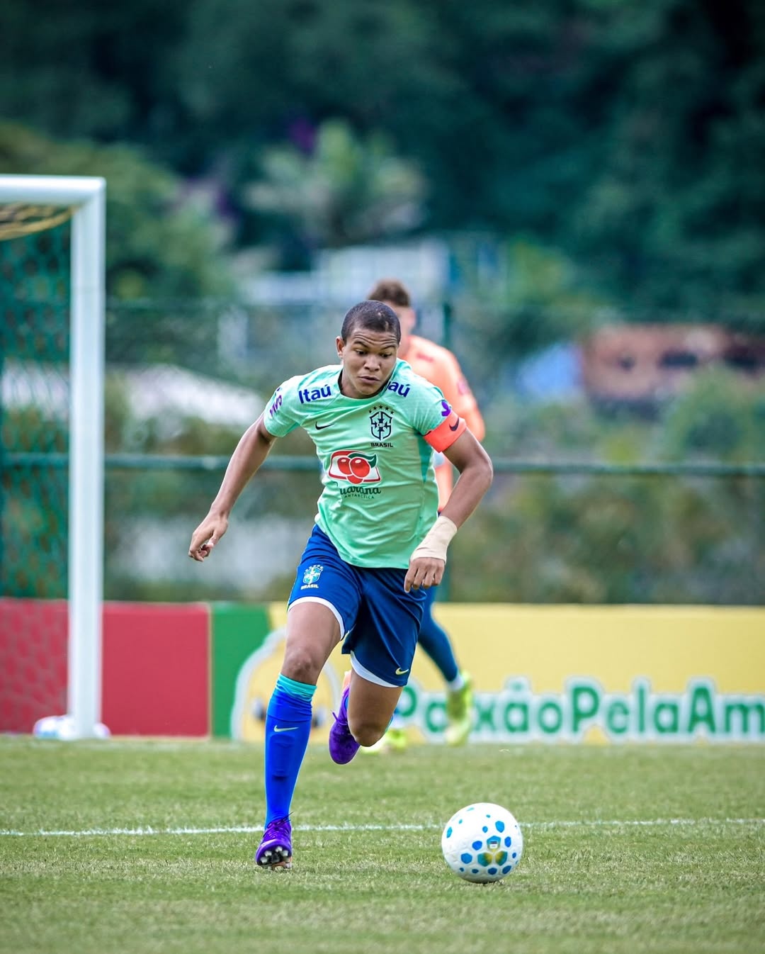 image para ilustrar o artigo