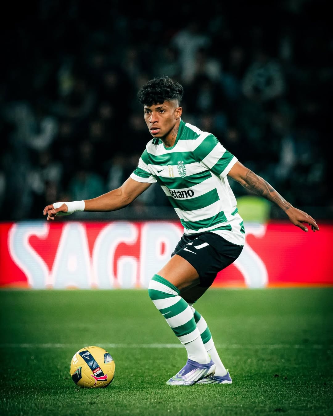 image para ilustrar o artigo